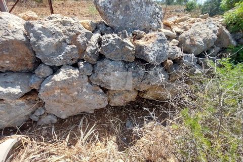 Helårsgrund i Alcantarilha, Faro, Alcantarilha - € 80.000 | Ref: 1701 - foto 7