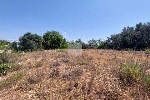Helårsgrund i Alcantarilha, Faro, Alcantarilha - € 80.000 | Ref: 1701 - foto 8