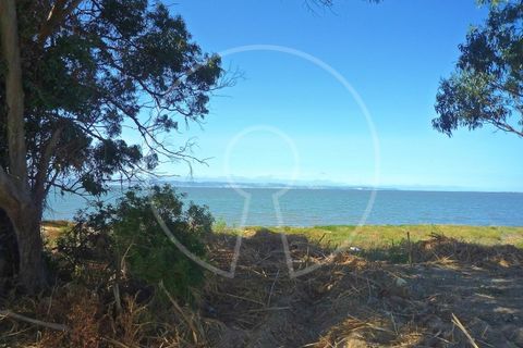 Terra a Alcochete, Setubal, Alcochete - € 650.000 | Ref: LANE_4399 - foto 23