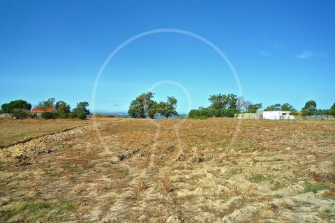 Terra a Alcochete, Setubal, Alcochete - € 650.000 | Ref: LANE_4399 - foto 28