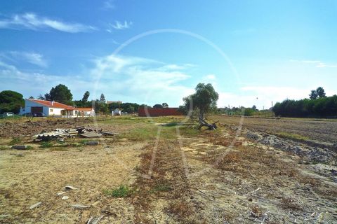 Terra a Alcochete, Setubal, Alcochete - € 650.000 | Ref: LANE_4399 - foto 29