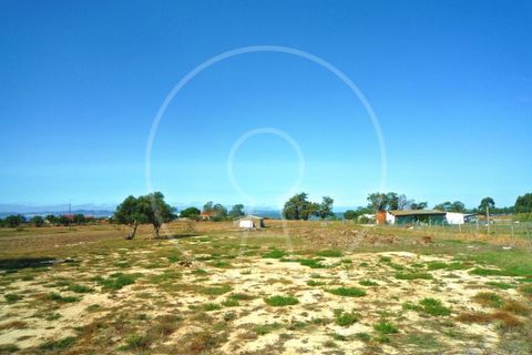 Terra a Alcochete, Setubal, Alcochete - € 650.000 | Ref: LANE_4399 - foto 30