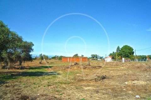 Terra a Alcochete, Setubal, Alcochete - € 650.000 | Ref: LANE_4399 - foto 31