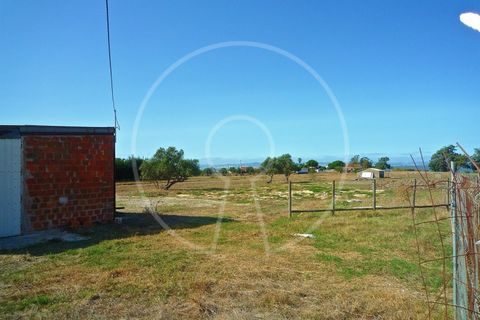 Terra a Alcochete, Setubal, Alcochete - € 650.000 | Ref: LANE_4399 - foto 32