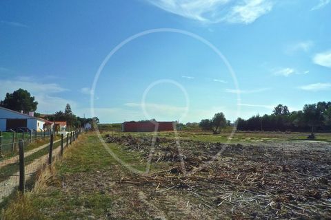 Terra a Alcochete, Setubal, Alcochete - € 650.000 | Ref: LANE_4399 - foto 34
