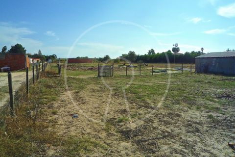 Terra a Alcochete, Setubal, Alcochete - € 650.000 | Ref: LANE_4399 - foto 35