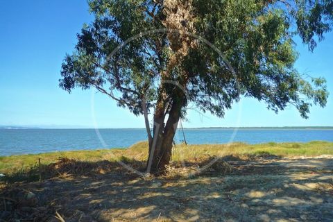 Terra a Alcochete, Setubal, Alcochete - € 650.000 | Ref: LANE_4399 - foto 37