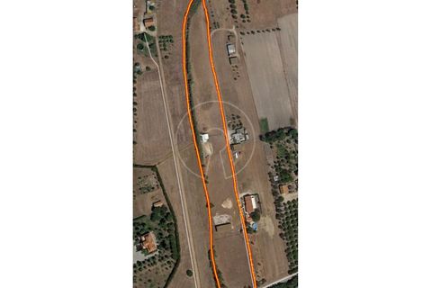 Terra a Alcochete, Setubal, Alcochete - € 650.000 | Ref: LANE_4399 - foto 21