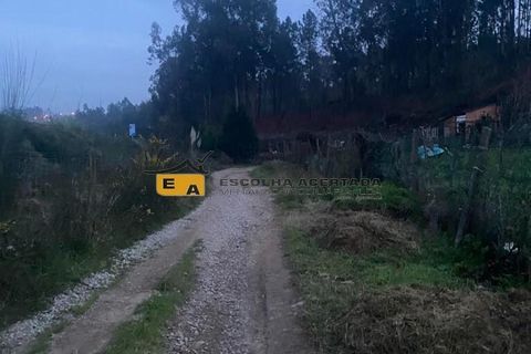 Terra a Gondomar, Porto, Gondomar - € 350/mes | Ref: 11325 - foto 5