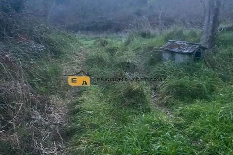Terra a Gondomar, Porto, Gondomar - € 350/mes | Ref: 11325 - foto 7