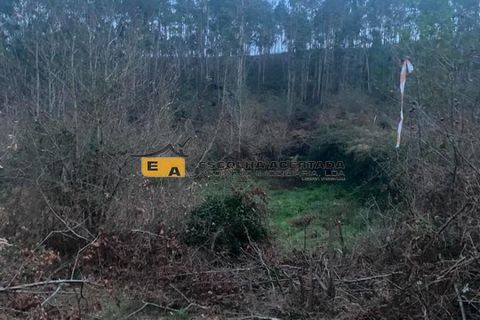 Terra a Gondomar, Porto, Gondomar - € 350/mes | Ref: 11325 - foto 10