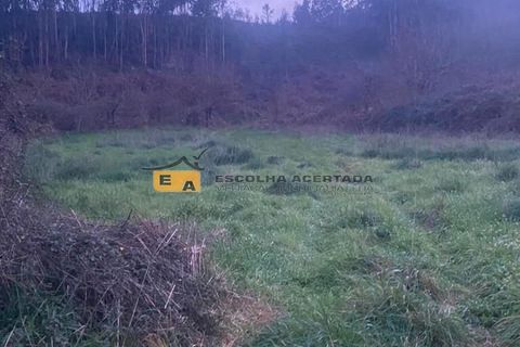 Terra a Gondomar, Porto, Gondomar - € 350/mes | Ref: 11325 - foto 11