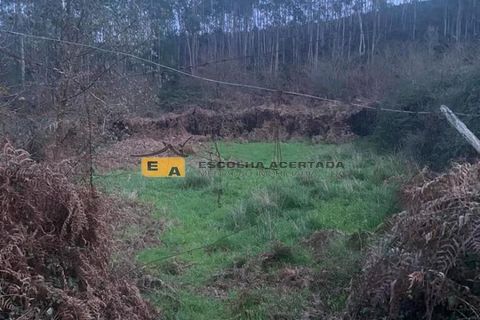 Terra a Gondomar, Porto, Gondomar - € 350/mes | Ref: 11325 - foto 19
