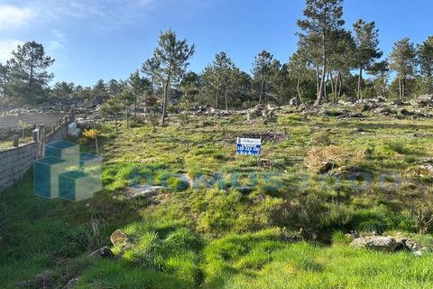 Helårsgrund i Vila Real, Vila Real, Vila Real - € 29.000 | Ref: TER_1307 - foto 8