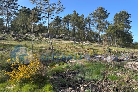 Helårsgrund i Vila Real, Vila Real, Vila Real - € 29.000 | Ref: TER_1307 - foto 9