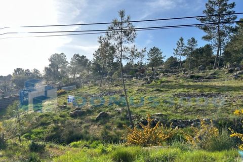 Helårsgrund i Vila Real, Vila Real, Vila Real - € 29.000 | Ref: TER_1307 - foto 10