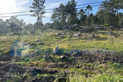 Helårsgrund i Vila Real, Vila Real, Vila Real - € 29.000 | Ref: TER_1307 - foto 12