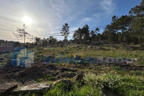 Helårsgrund i Vila Real, Vila Real, Vila Real - € 29.000 | Ref: TER_1307 - foto 13