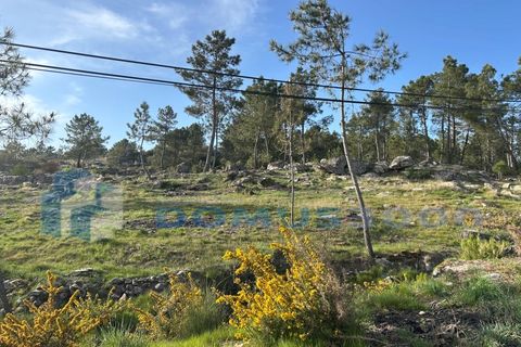 Helårsgrund i Vila Real, Vila Real, Vila Real - € 29.000 | Ref: TER_1307 - foto 14