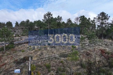 Helårsgrund i Vila Real, Vila Real, Vila Real - € 29.000 | Ref: TER_1307 - foto 2