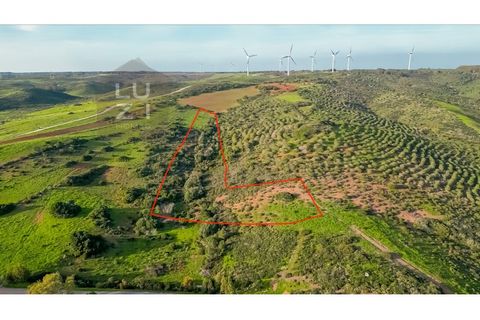 Helårsgrund i Sagres, Faro, Sagres - € 65.000 | Ref: DHTR002 - foto 9