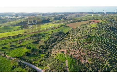 Helårsgrund i Sagres, Faro, Sagres - € 65.000 | Ref: DHTR002 - foto 10