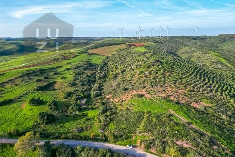 Helårsgrund i Sagres, Faro, Sagres - € 65.000 | Ref: DHTR002 - foto 11