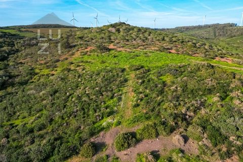 Helårsgrund i Sagres, Faro, Sagres - € 65.000 | Ref: DHTR002 - foto 14