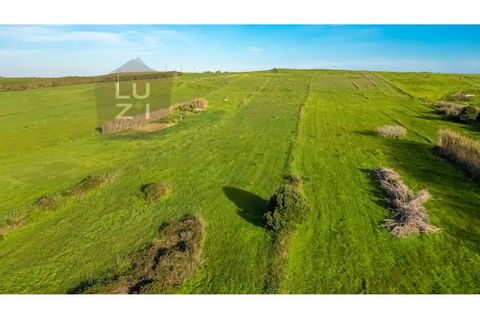 Helårsgrund i Sagres, Faro, Sagres - € 80.000 | Ref: DHTR001 - foto 8