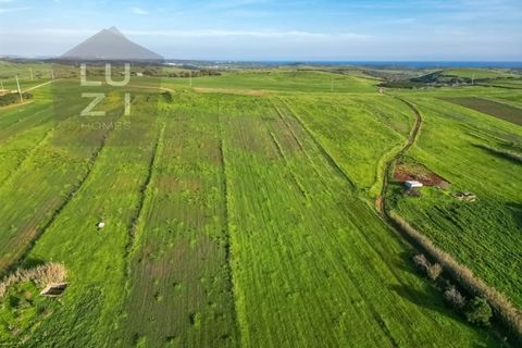 Helårsgrund i Sagres, Faro, Sagres - € 80.000 | Ref: DHTR001 - foto 10