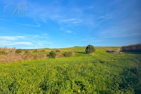 Helårsgrund i Sagres, Faro, Sagres - € 80.000 | Ref: DHTR001 - foto 14