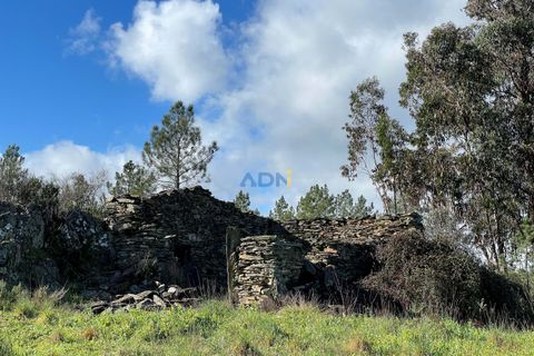Helårsgrund i Castelo Branco, Castelo Branco, Castelo Branco - € 19.000 | Ref: 124006 - foto 2