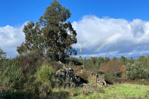 Helårsgrund i Castelo Branco, Castelo Branco, Castelo Branco - € 19.000 | Ref: 124006 - foto 3