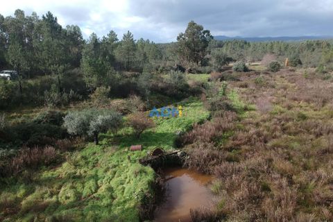 Helårsgrund i Castelo Branco, Castelo Branco, Castelo Branco - € 19.000 | Ref: 124006 - foto 5
