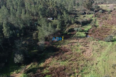Helårsgrund i Castelo Branco, Castelo Branco, Castelo Branco - € 19.000 | Ref: 124006 - foto 6