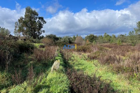 Helårsgrund i Castelo Branco, Castelo Branco, Castelo Branco - € 19.000 | Ref: 124006 - foto 10