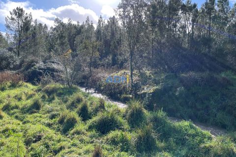 Helårsgrund i Castelo Branco, Castelo Branco, Castelo Branco - € 19.000 | Ref: 124006 - foto 11
