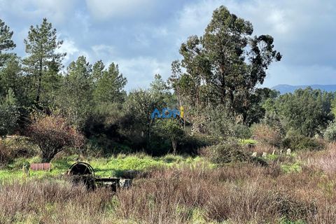 Helårsgrund i Castelo Branco, Castelo Branco, Castelo Branco - € 19.000 | Ref: 124006 - foto 12