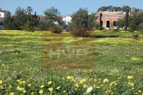 Helårsgrund i Quelfes, Faro, Quelfes - € 5.500.000 | Ref: 170240009 - foto 6