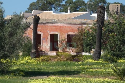 Helårsgrund i Quelfes, Faro, Quelfes - € 5.500.000 | Ref: 170240009 - foto 7