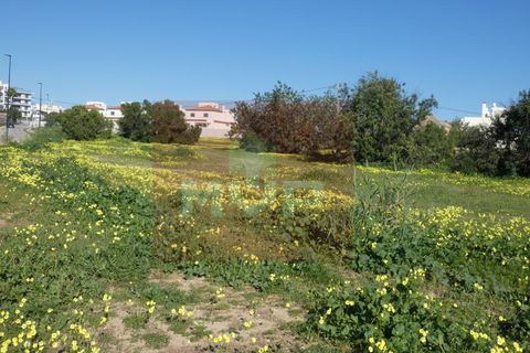 Helårsgrund i Quelfes, Faro, Quelfes - € 5.500.000 | Ref: 170240009 - foto 13