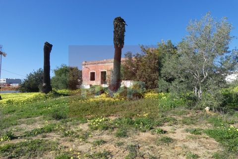 Helårsgrund i Quelfes, Faro, Quelfes - € 5.500.000 | Ref: 170240009 - foto 17
