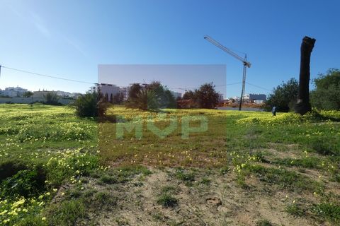 Helårsgrund i Quelfes, Faro, Quelfes - € 5.500.000 | Ref: 170240009 - foto 19
