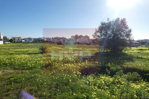 Helårsgrund i Quelfes, Faro, Quelfes - € 5.500.000 | Ref: 170240009 - foto 20