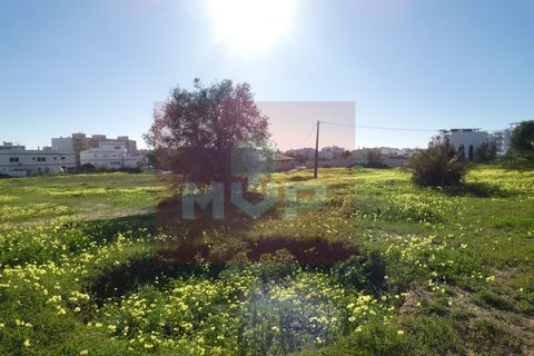 Helårsgrund i Quelfes, Faro, Quelfes - € 5.500.000 | Ref: 170240009 - foto 22