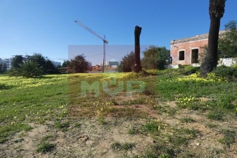 Helårsgrund i Quelfes, Faro, Quelfes - € 5.500.000 | Ref: 170240009 - foto 25