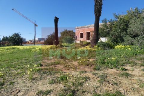 Helårsgrund i Quelfes, Faro, Quelfes - € 5.500.000 | Ref: 170240009 - foto 26