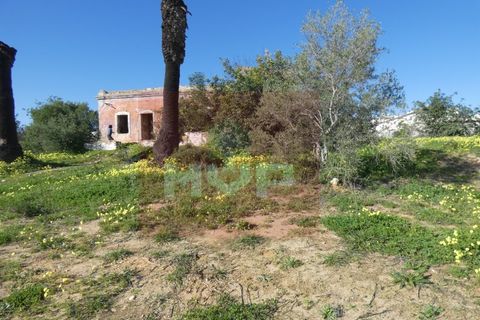Helårsgrund i Quelfes, Faro, Quelfes - € 5.500.000 | Ref: 170240009 - foto 27