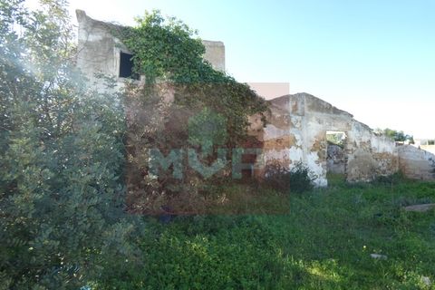Helårsgrund i Quelfes, Faro, Quelfes - € 5.500.000 | Ref: 170240009 - foto 32