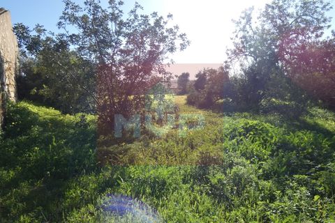 Helårsgrund i Quelfes, Faro, Quelfes - € 5.500.000 | Ref: 170240009 - foto 36